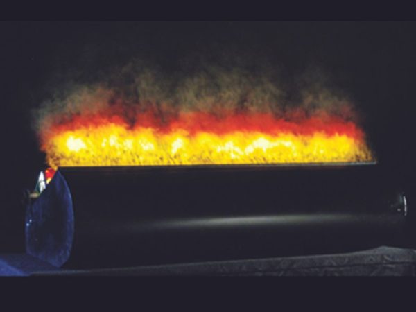 LE MAITRE FAKE FLAME - Image 2