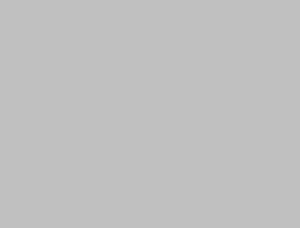 ROSCO OFF BROADWAY PAINT - SILVER