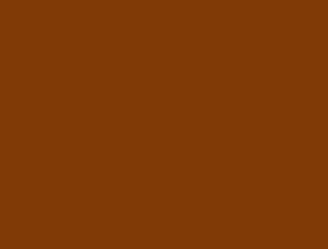 ROSCO OFF BROADWAY PAINT - BURNT SIENNA 3.79L