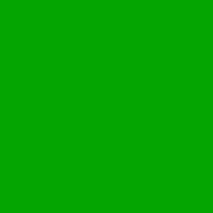 ROSCO OFF BROADWAY PAINT - EMERALD GREEN 3.79L