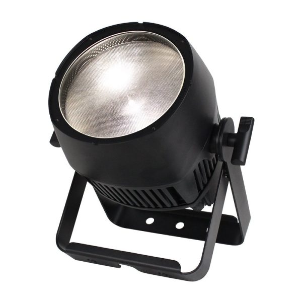 Endura CW100 COB Exterior Fixture