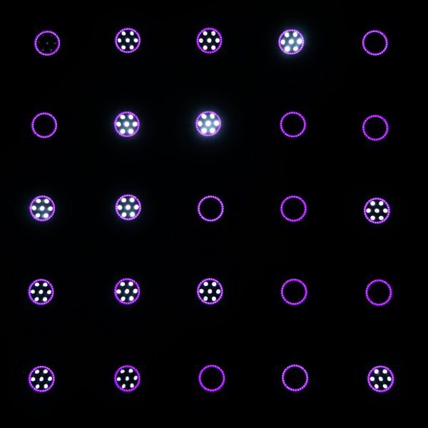 Eclipse - Image 12