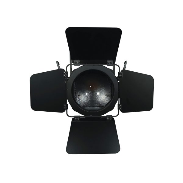 Artisan 1000 WW Fresnel - Image 9