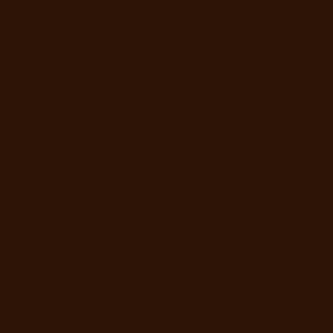 PAINT – BURNT UMBER